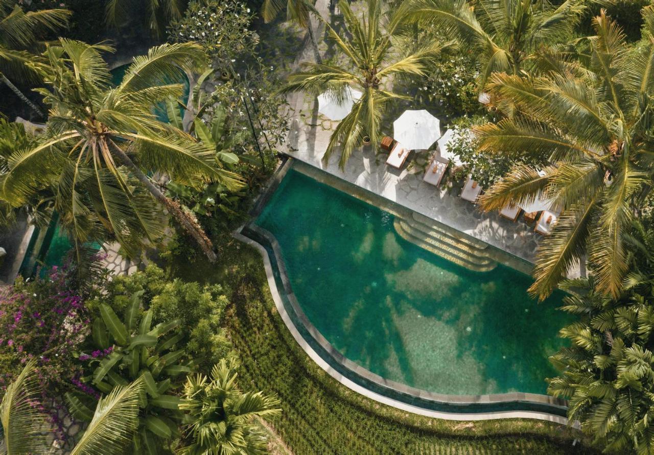 Alaya Resort Ubud Exteriér fotografie The swimming pool at the hotel