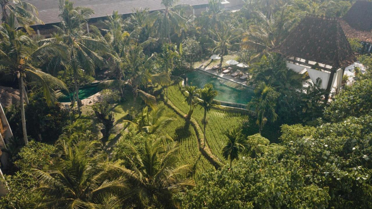 Alaya Resort Ubud Exteriér fotografie View of the resort from the top of the resort