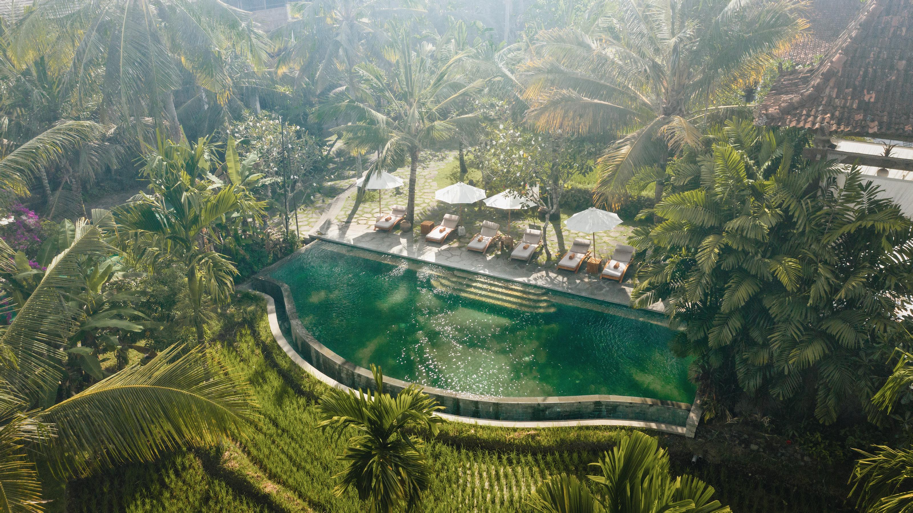 Alaya Resort Ubud Exteriér fotografie The resort's main pool
