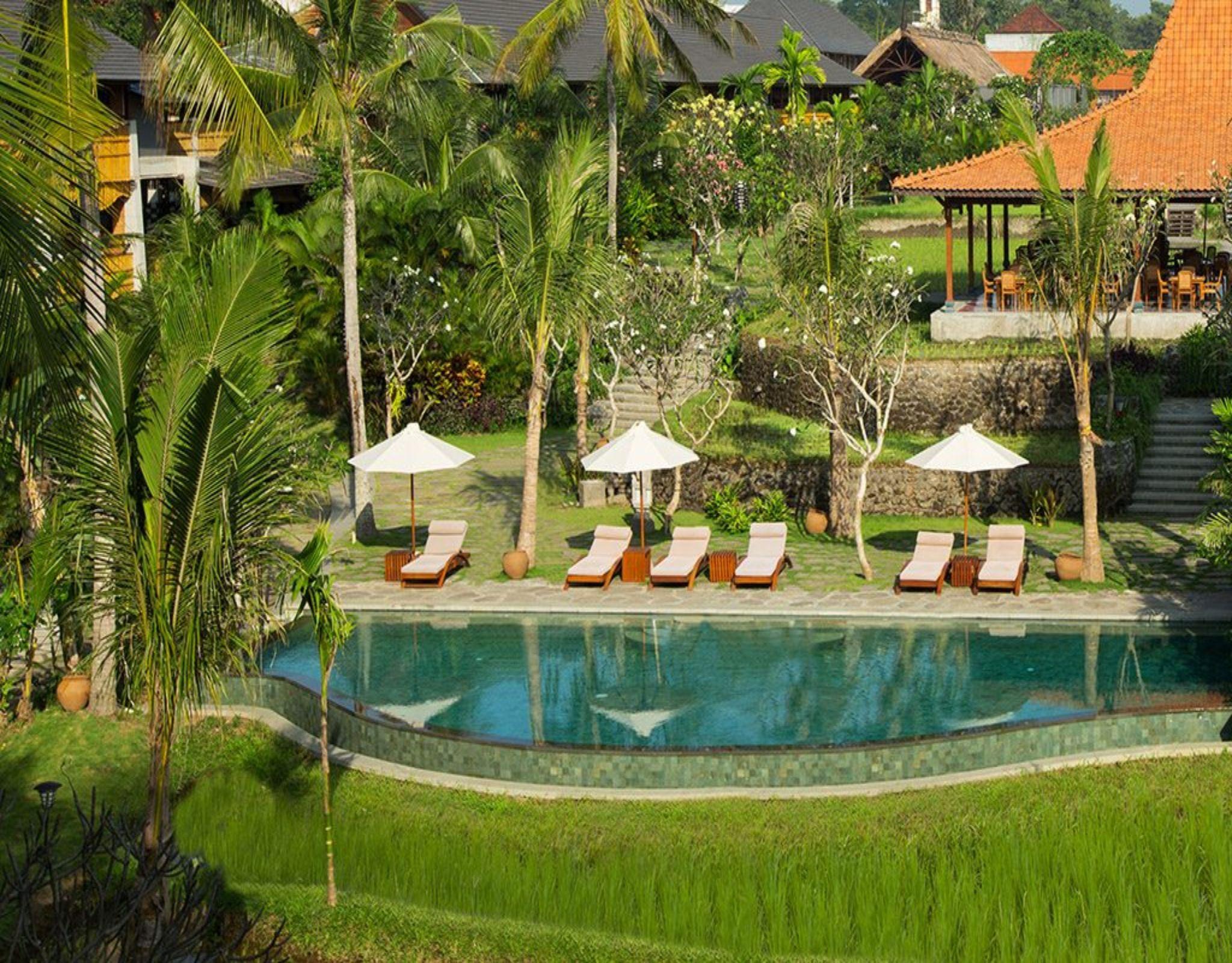 Alaya Resort Ubud Exteriér fotografie The swimming pool at the Four Seasons Resort