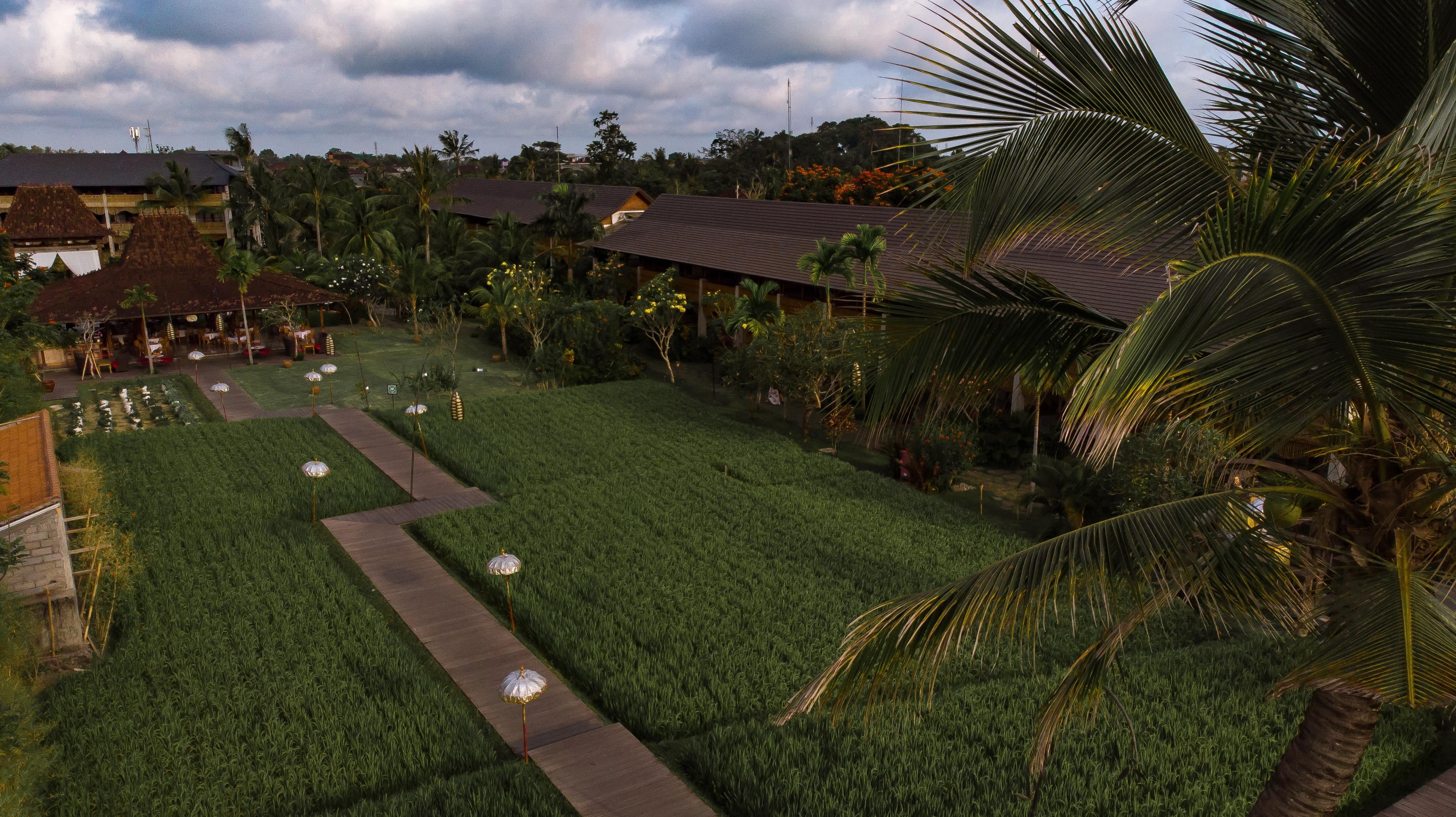 Alaya Resort Ubud Exteriér fotografie The resort's grounds