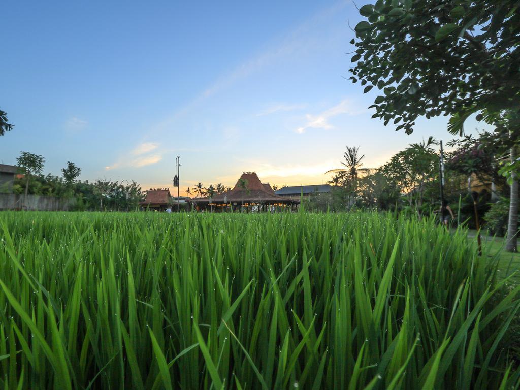 Alaya Resort Ubud Exteriér fotografie A view of the village of Jatimulya