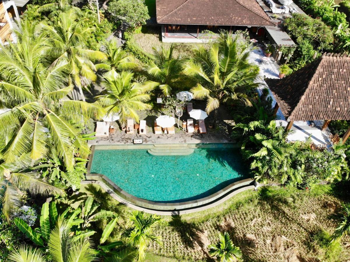 Alaya Resort Ubud Exteriér fotografie The swimming pool at the resort