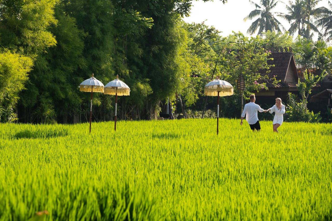Alaya Resort Ubud Exteriér fotografie Rice fields in Bali